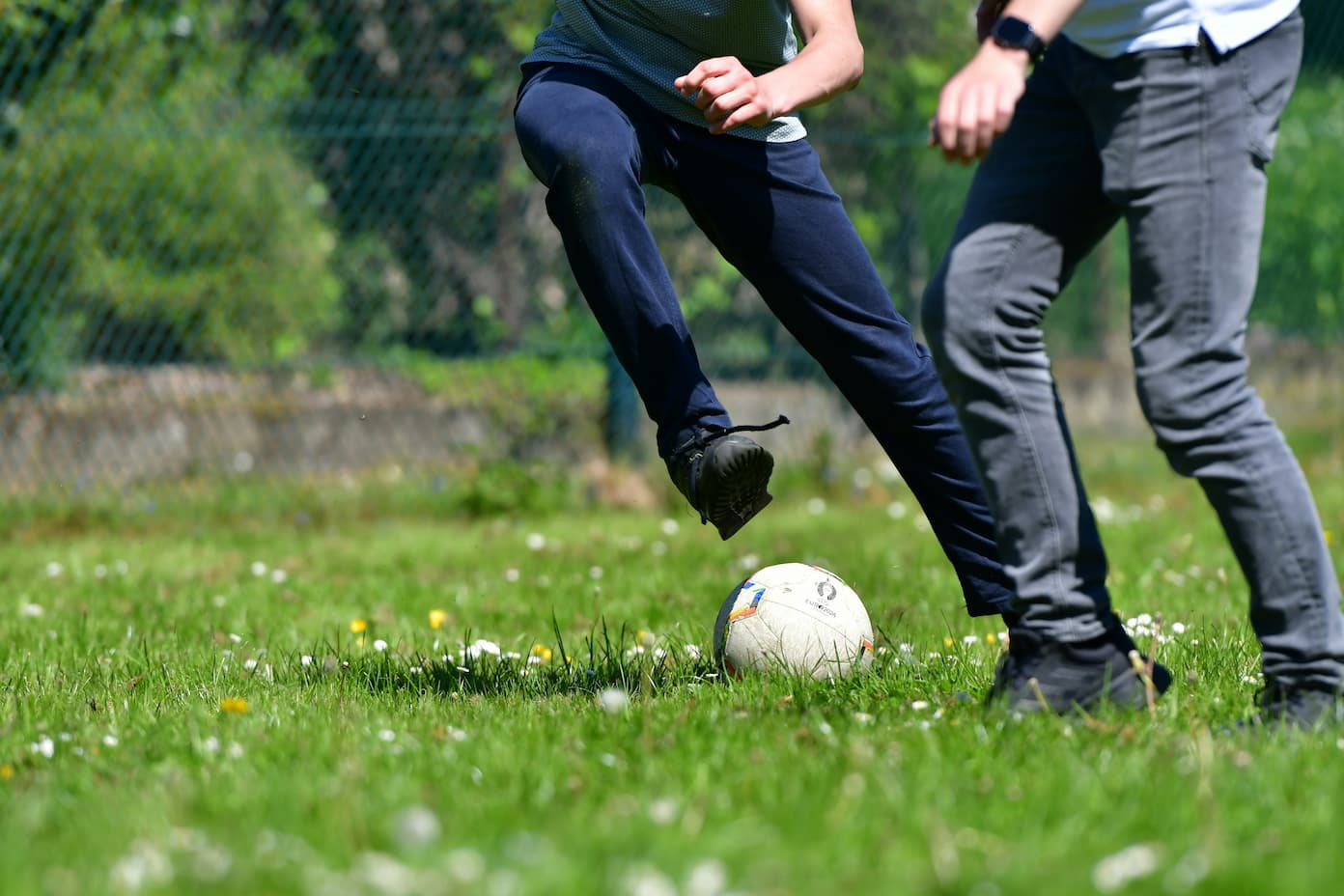 Successful sports bettors